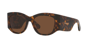 Tortoise  - Brown Gradient