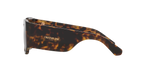 Tortoise