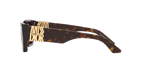 Tortoise