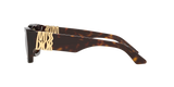 Tortoise