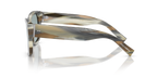 Grey Horn