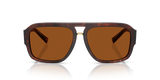 Dark Red Brown