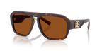 Dark Red Brown