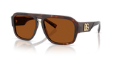 Dark Red Brown