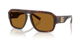 Dark Red Havana