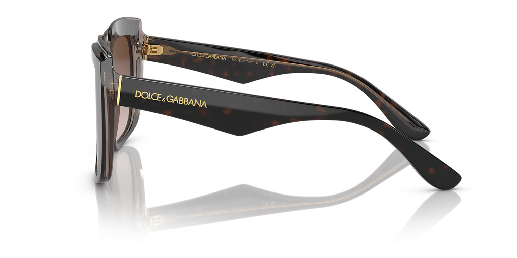 Havana On Transparent Brown