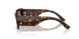 Havana