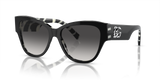 Black On Zebra - Light Grey Gradient Black