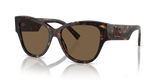 Havana - Dark Brown