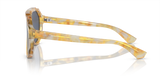 Yellow Tortoise