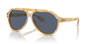 Yellow Tortoise - Blue