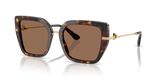 Havana - Dark Brown