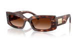 Dark Red Havana - Brown Gradient