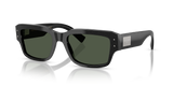 Brushed Black - Dark Green Polar