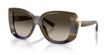 Striped Olive