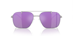 Shiny Silver