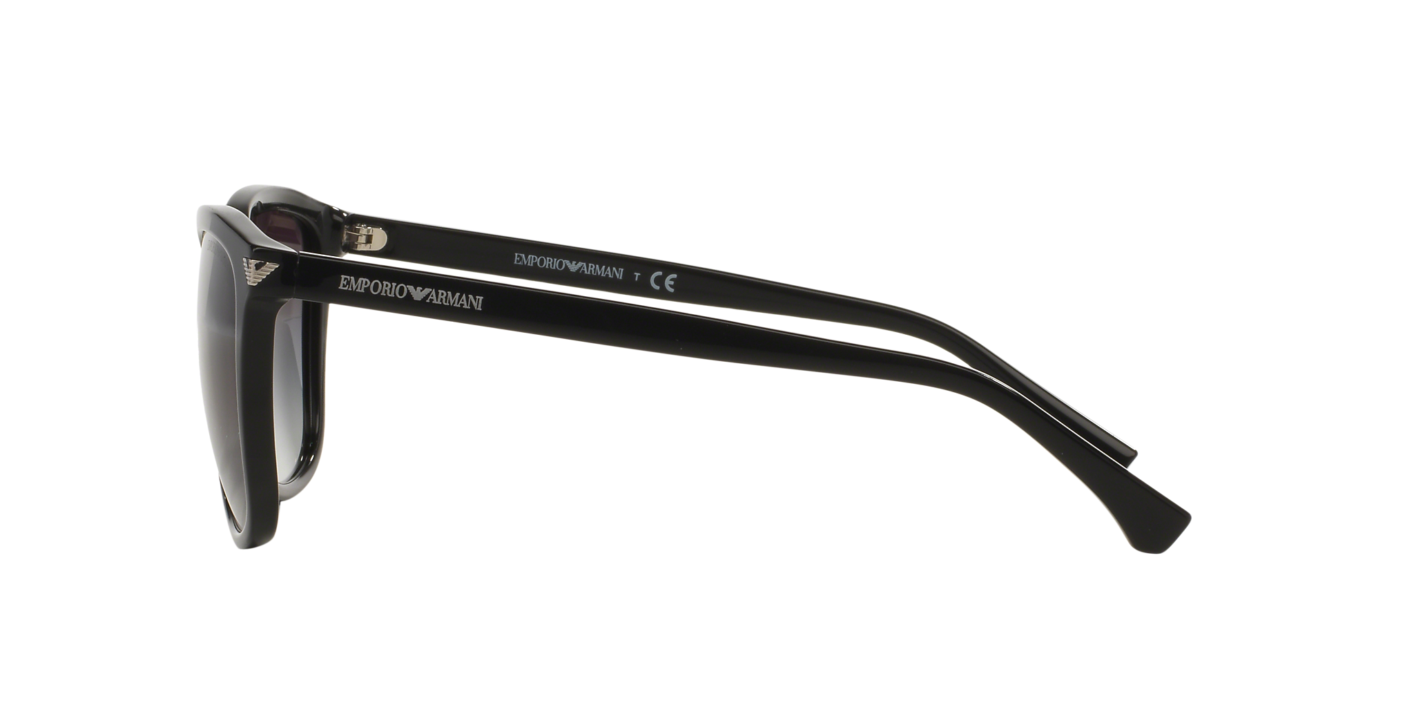 Shiny Black