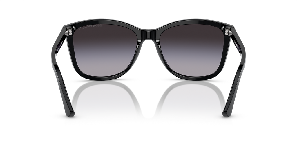 Shiny Black