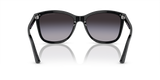 Shiny Black