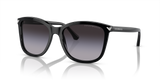 Shiny Black