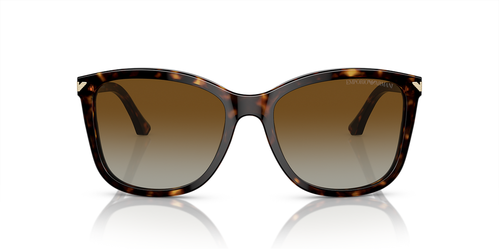 Shiny Havana