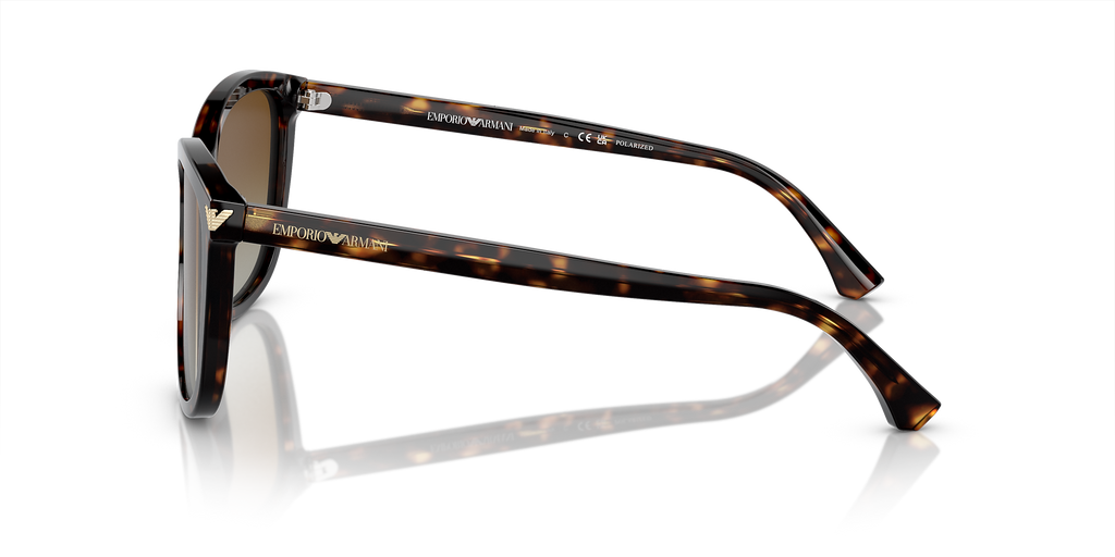 Shiny Havana