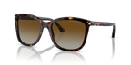 Shiny Havana