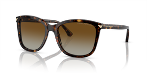 Shiny Havana - Gradient Brown Polar