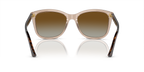 Transparent Tundra