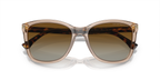 Transparent Tundra