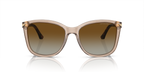 Transparent Tundra