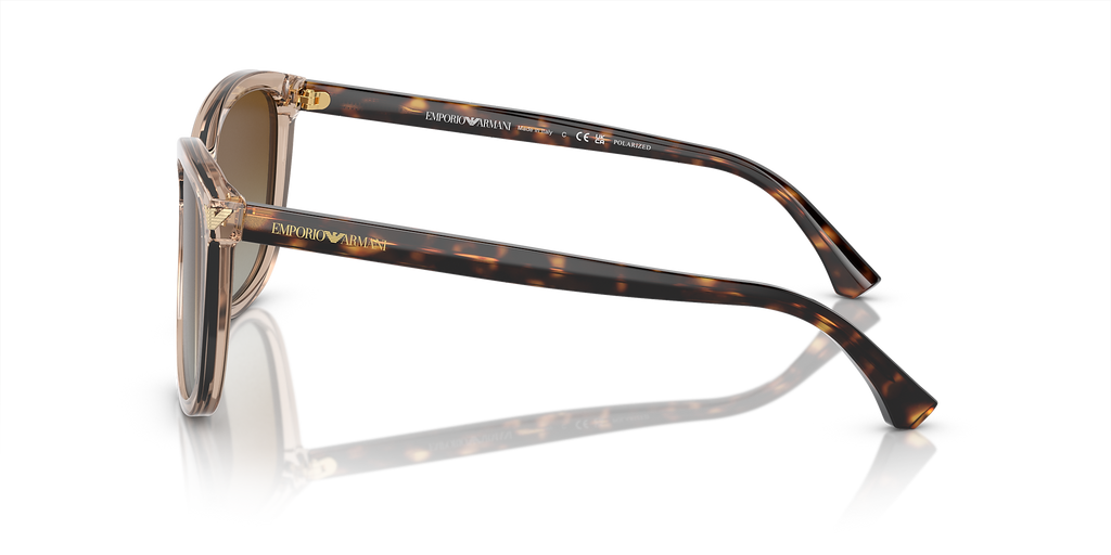 Transparent Tundra