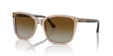 Transparent Tundra - Gradient Brown Polar