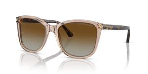 Transparent Tundra - Gradient Brown Polar