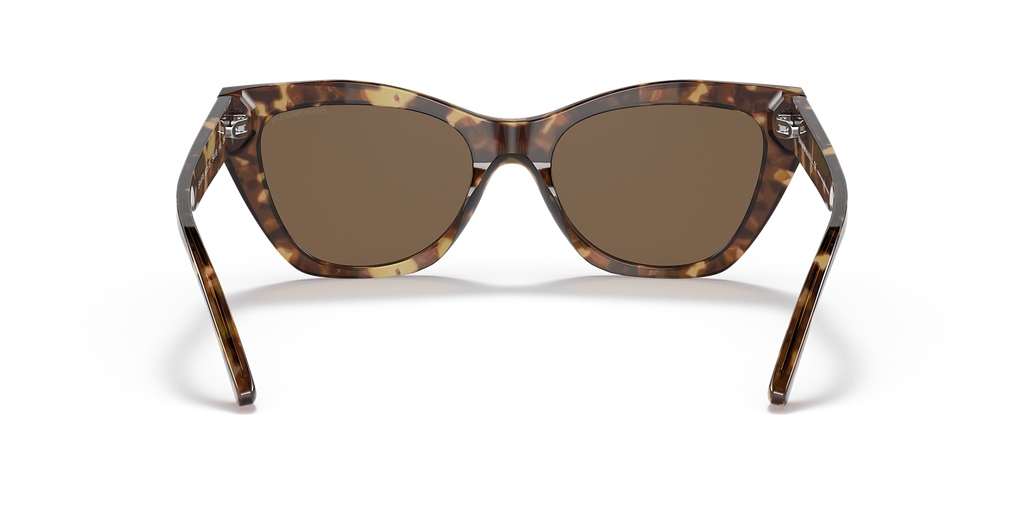 Shiny Brown Havana