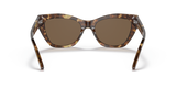 Shiny Brown Havana