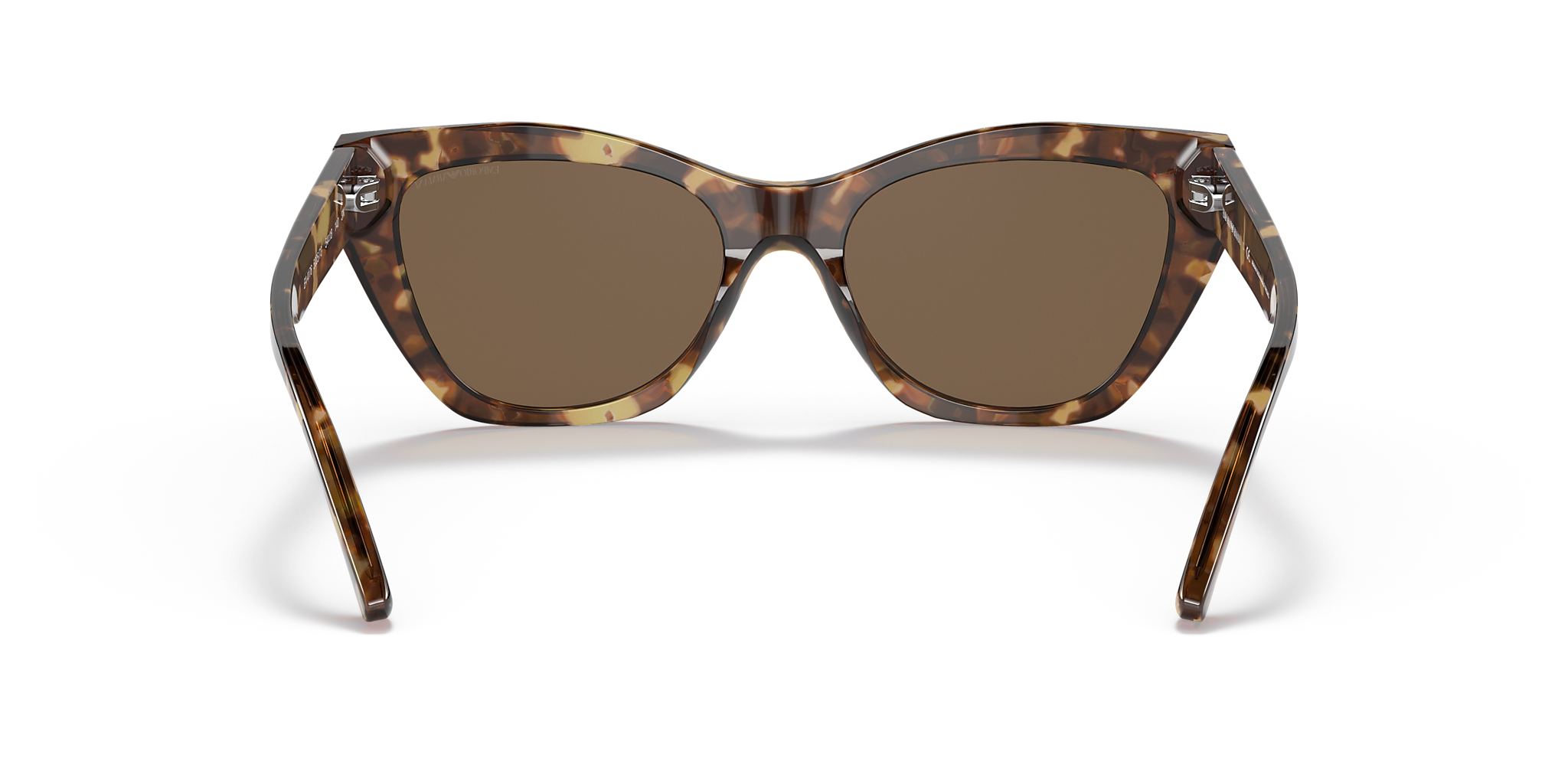 Shiny Brown Havana