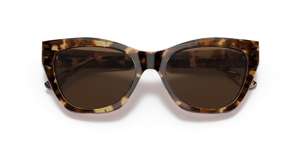 Shiny Brown Havana