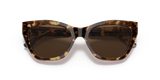 Shiny Brown Havana
