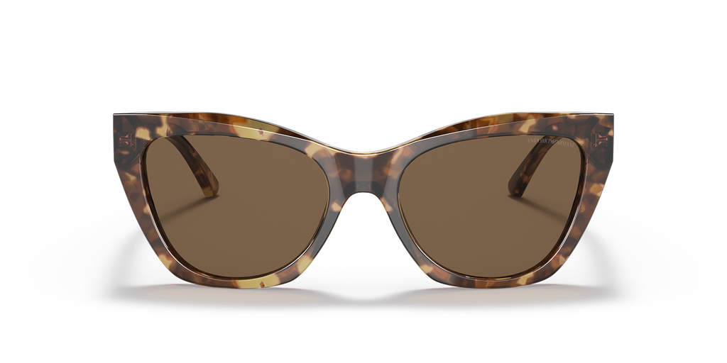 Shiny Brown Havana