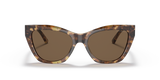 Shiny Brown Havana