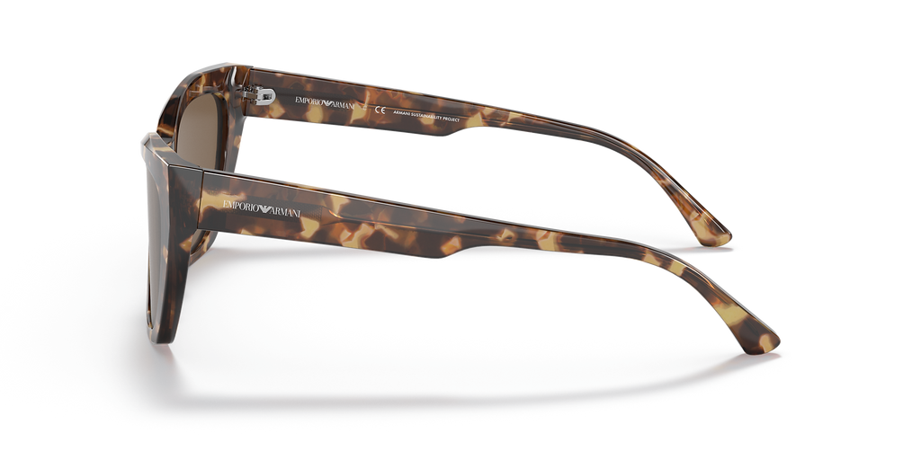 Shiny Brown Havana