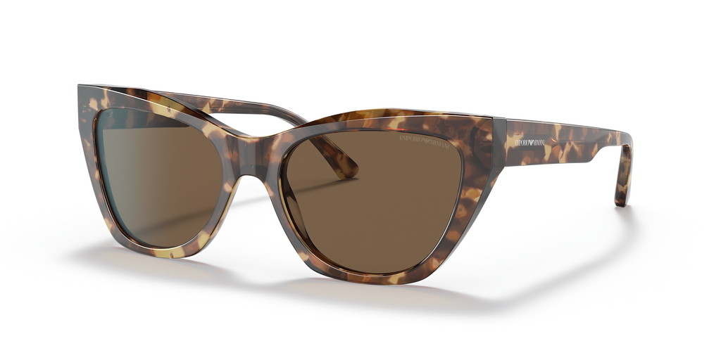 Shiny Brown Havana