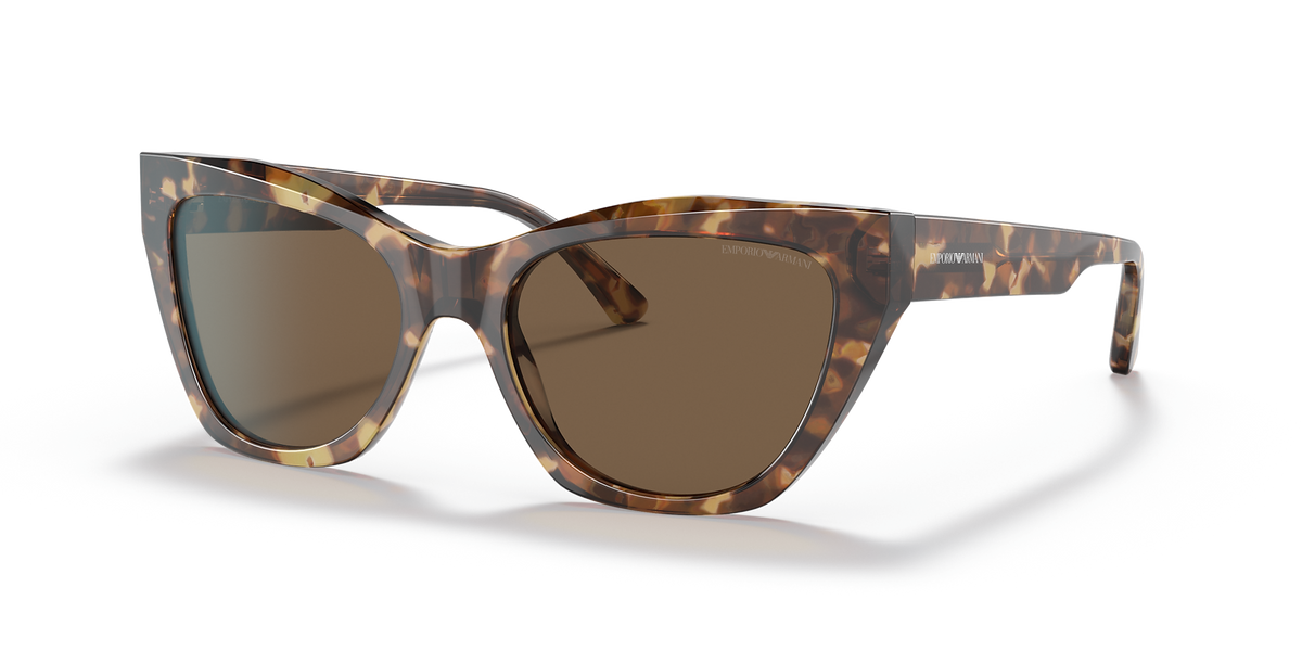 Shiny Brown Havana