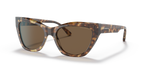 Shiny Brown Havana