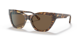 Shiny Brown Havana
