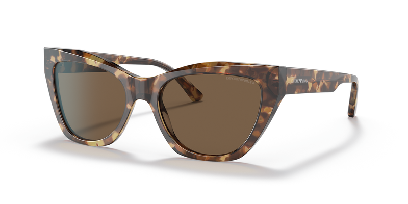Shiny Brown Havana