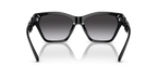 Shiny Black