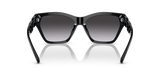 Shiny Black