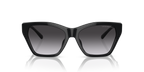 Shiny Black